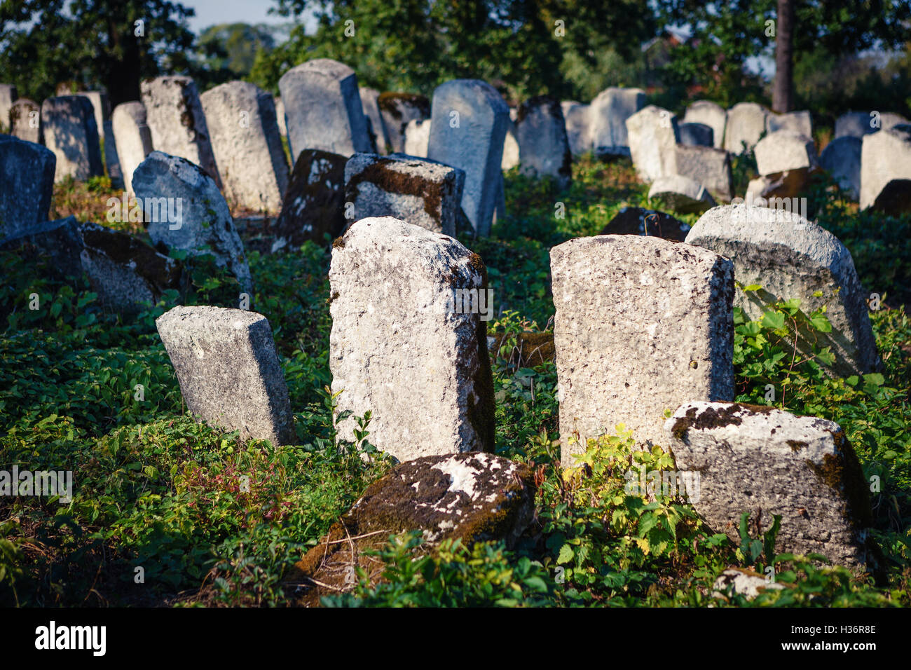 Alter jüdischer Friedhof, Polen Stockfoto