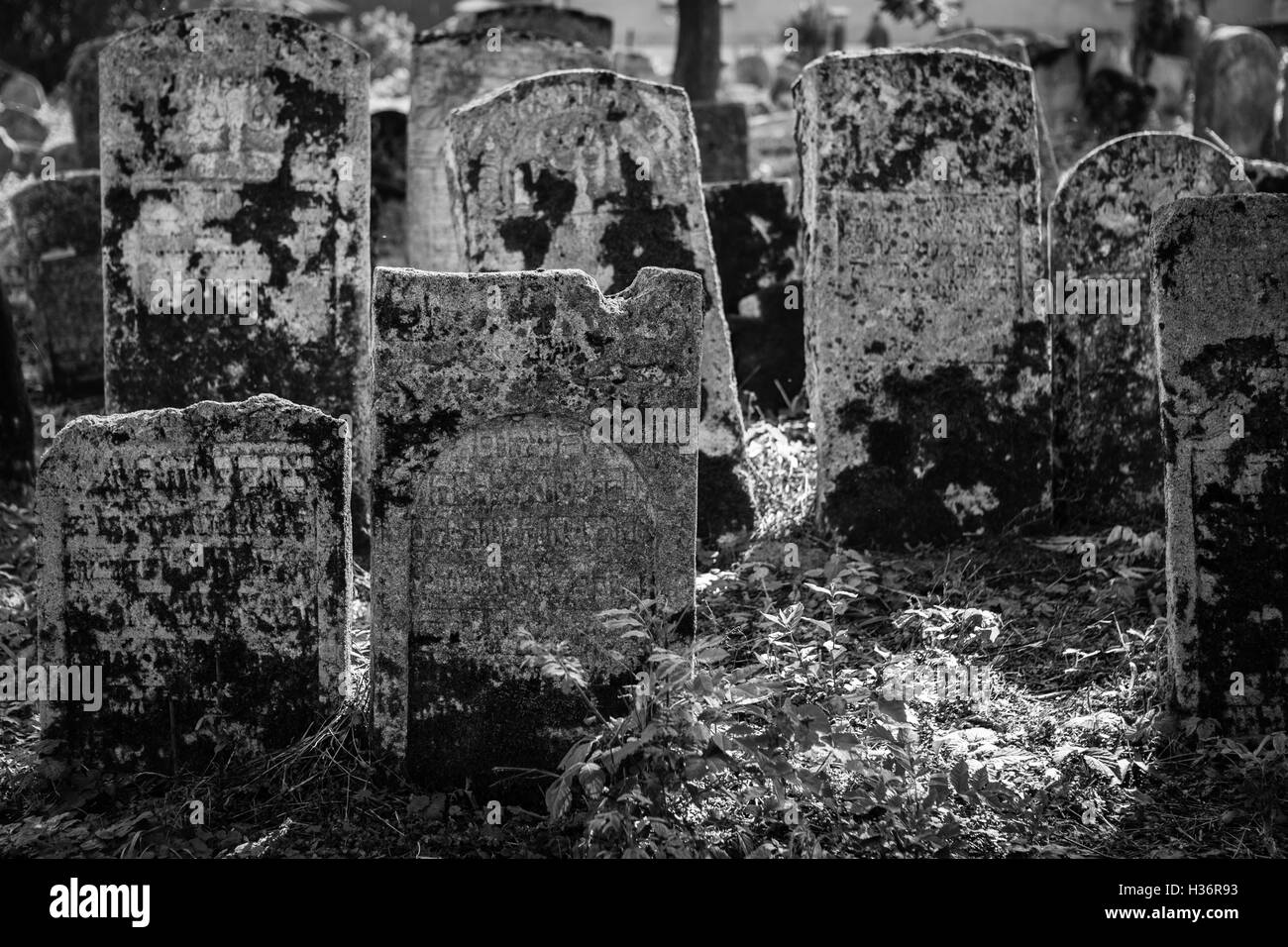 Alter jüdischer Friedhof, Polen Stockfoto