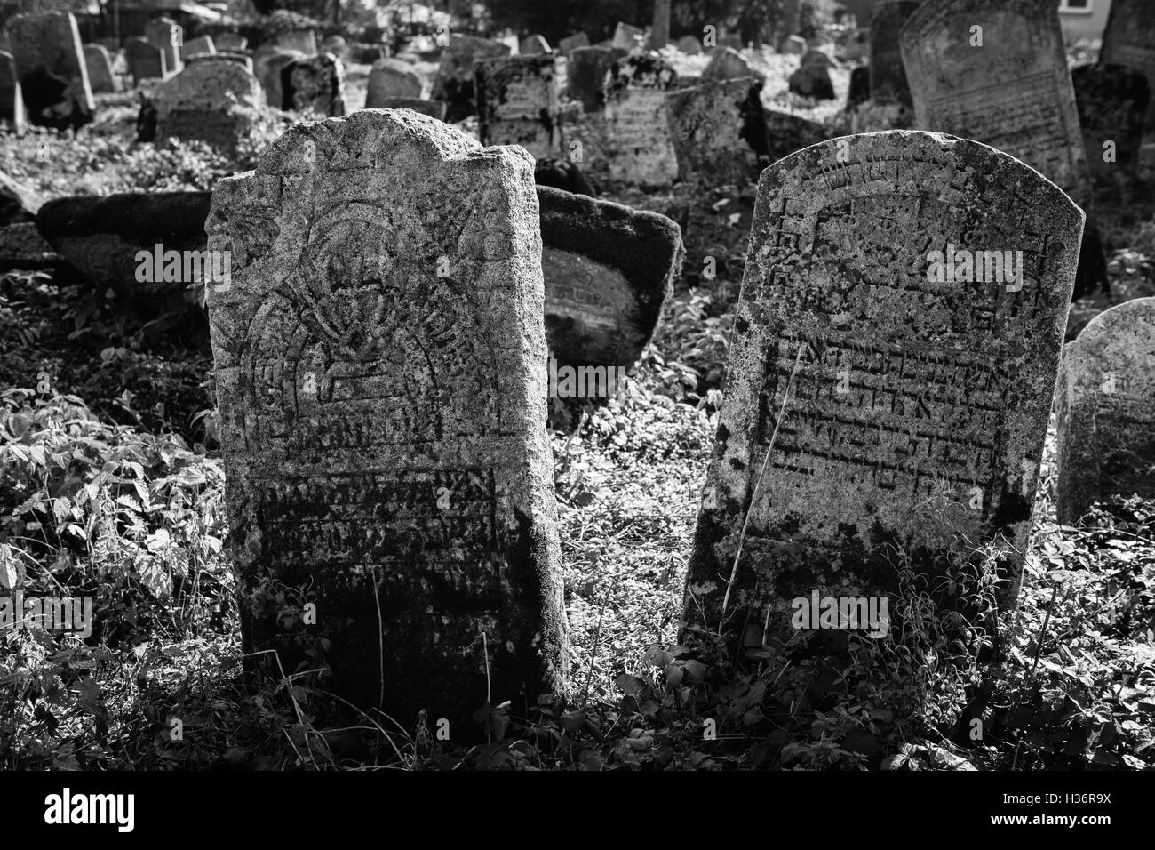 Alter jüdischer Friedhof, Polen Stockfoto