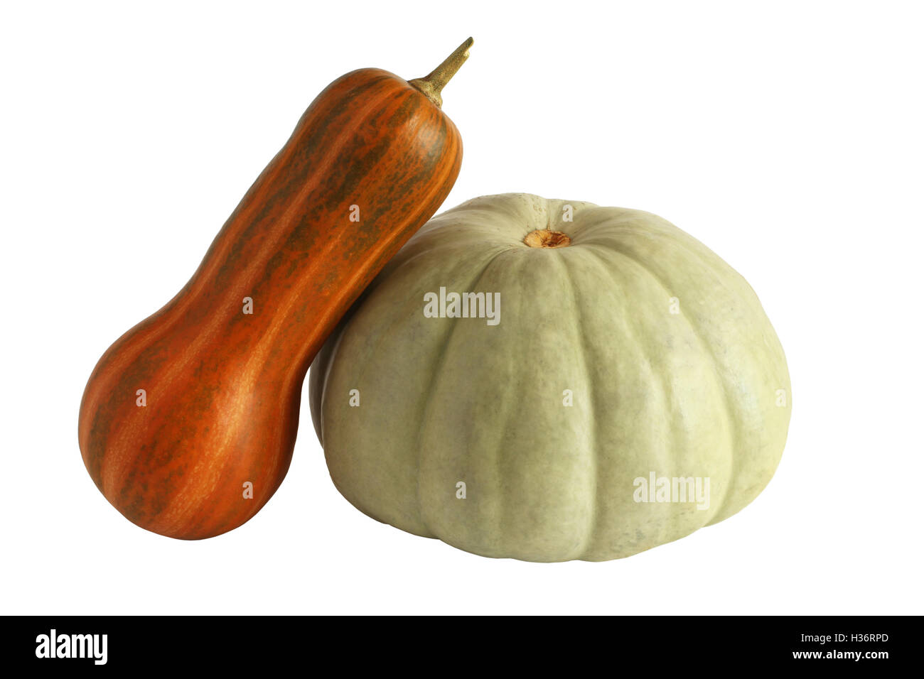 Muscat, orange und grau Kürbisse auf weißem Hintergrund isoliert Stockfoto