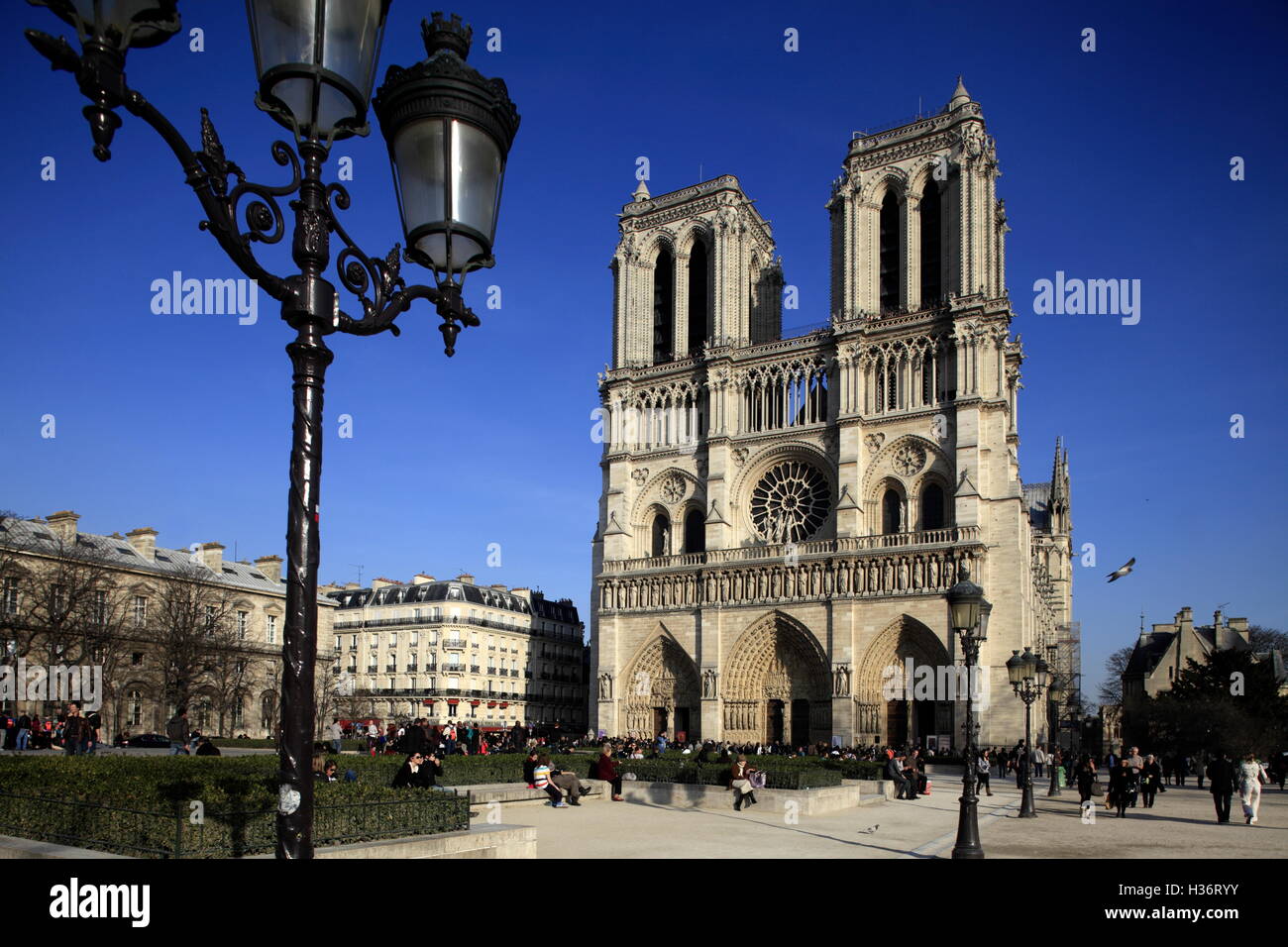 Kathedrale Notre-Dame in Place du Parvis Notre Dame Square,Paris.France Stockfoto