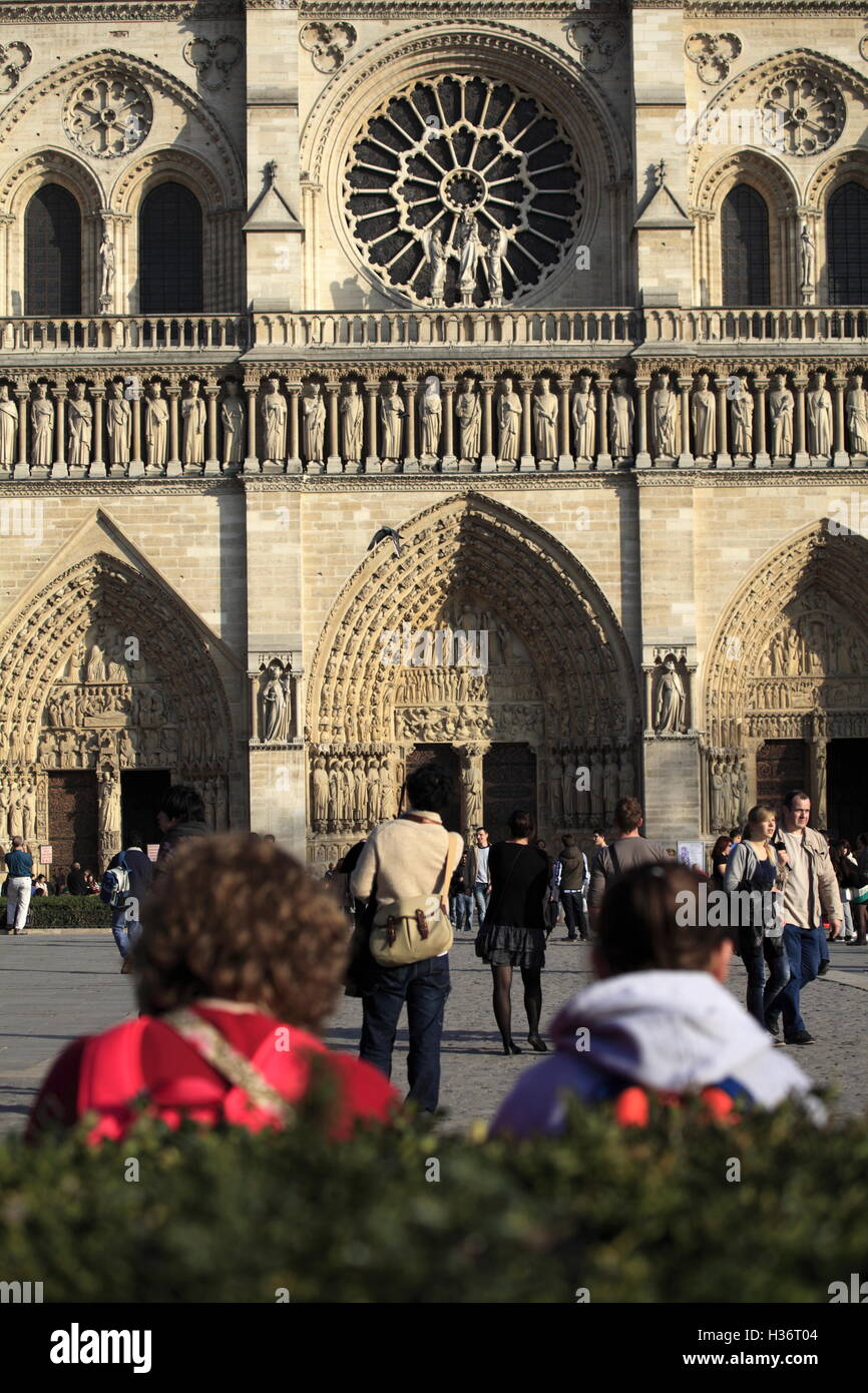 Besucher entspannen Sie am Place du Parvis Notre Dame Platz mit der Kathedrale Notre-Dame im Hintergrund. Paris.France Stockfoto