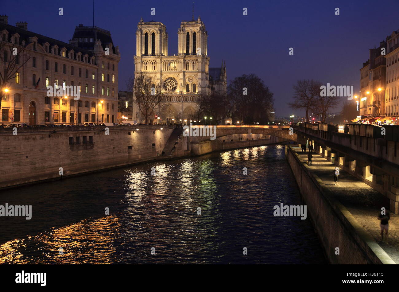 Die Nachtansicht der Notre Dame Kathedrale mit Ufer im Vordergrund. Paris. Frankreich Stockfoto