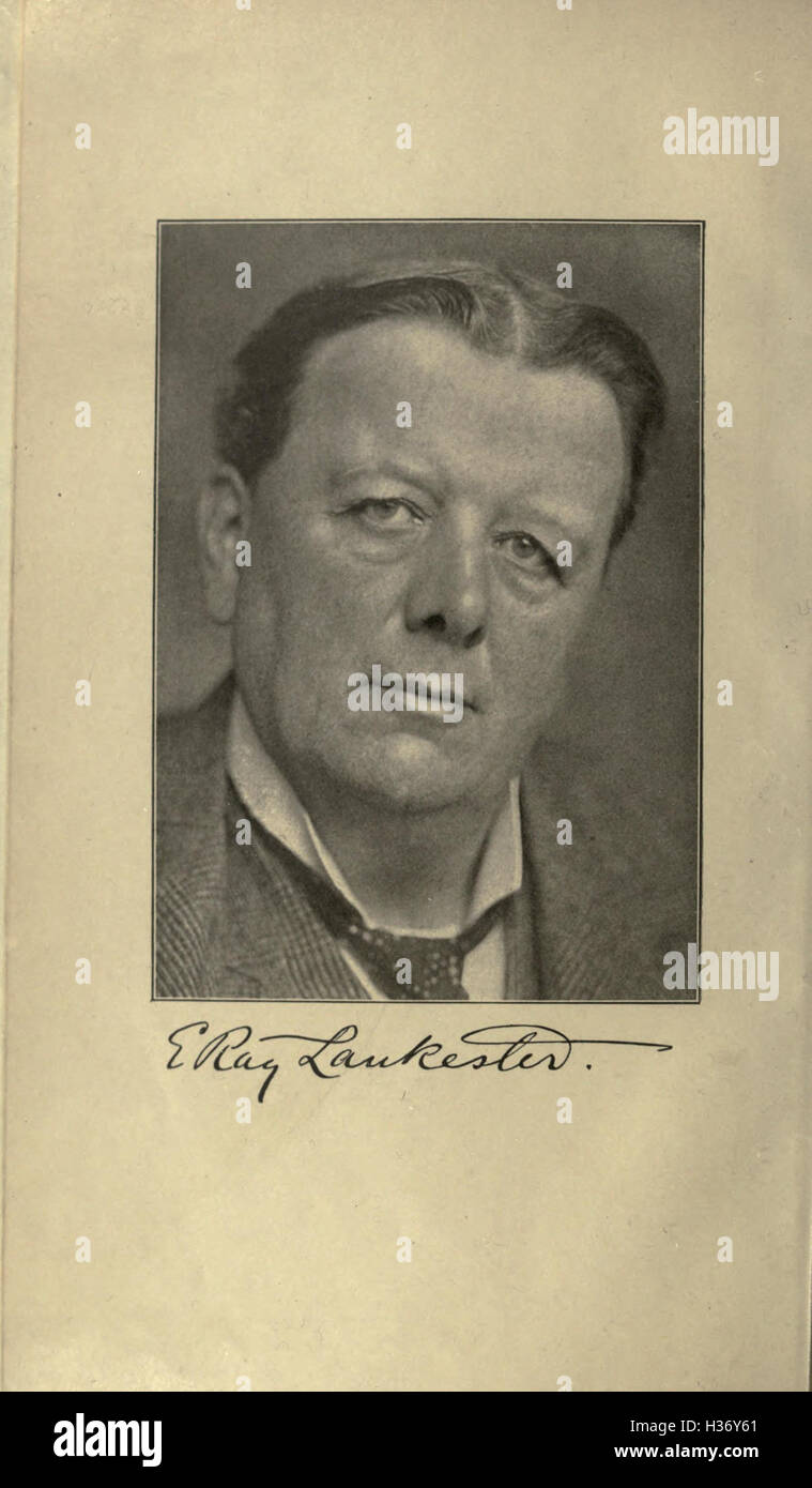 Dieses Buch behandelt ausgestorbene Tierarten und untersucht deren Geschichte, Ursachen des Aussterbens und ihre Auswirkungen auf Ökosysteme. Stockfoto