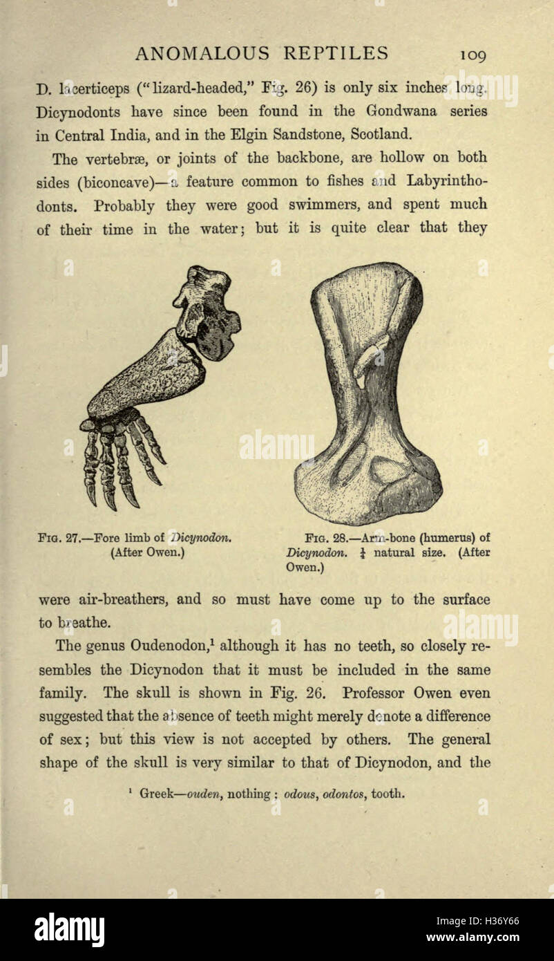 Ausgestorbene Monster und Kreaturen von anderen Tagen (Seite 109) BHL188 Stockfoto