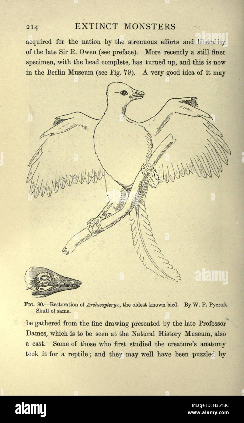 Dieses Werk befasst sich mit den ausgestorbenen Kreaturen prähistorischer Zeiten und erforscht deren Eigenschaften, Lebensräume und die Umstände, die ihr Aussterben umgaben. Stockfoto
