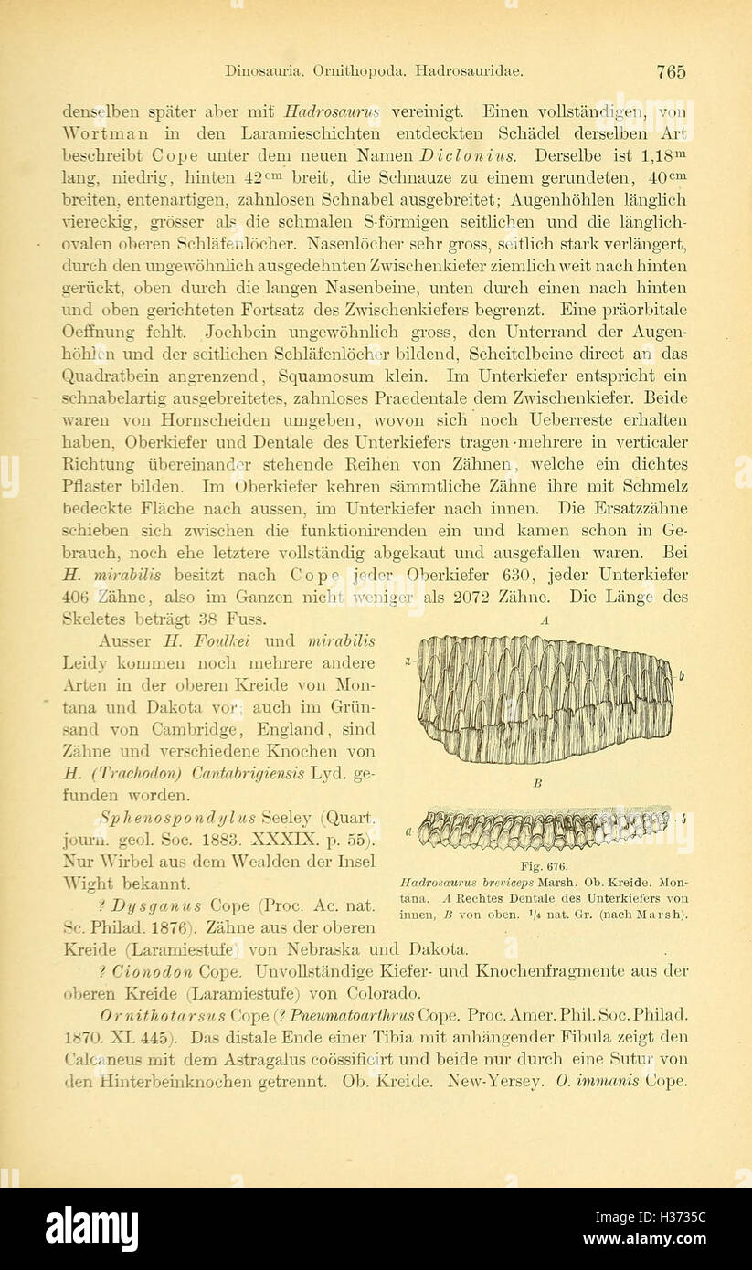 Handbuch der Palæontologie (Seite 765) BHL403 Stockfoto