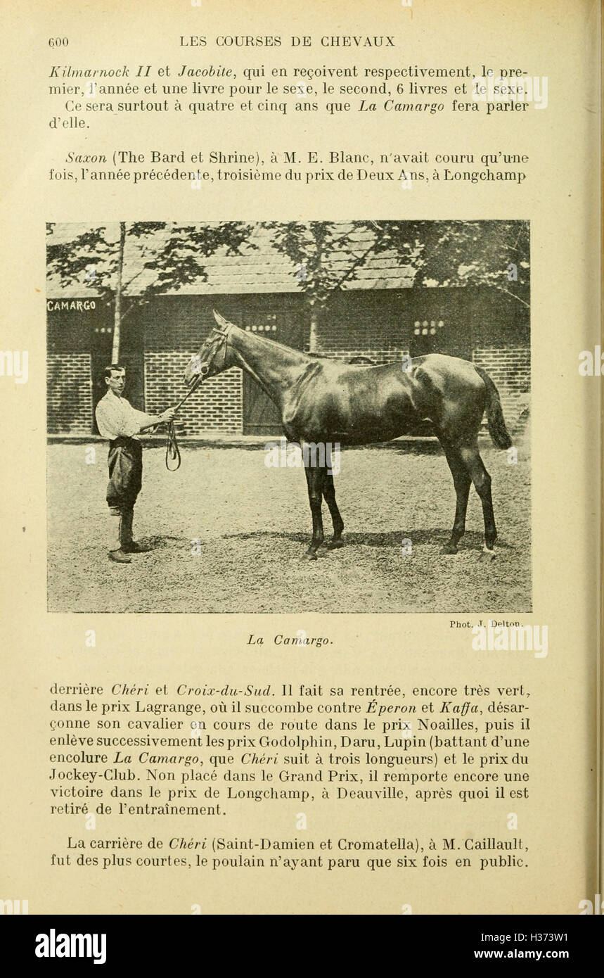 Diese Arbeit zeichnet die Geschichte des Pferderennsports von der Antike bis zur Gegenwart nach und erforscht seine kulturelle und historische Bedeutung. Stockfoto