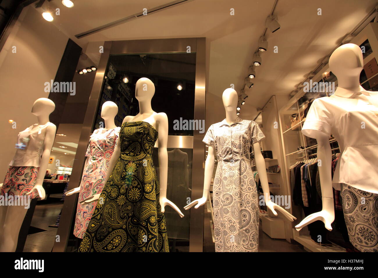 Store Fenster in der Rue du Faubourg Saint-Honoré. Paris. Frankreich Stockfoto