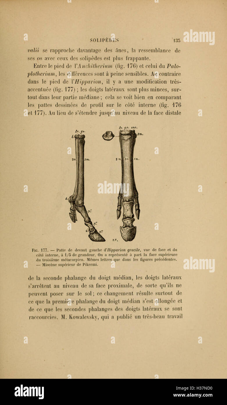Dieser französische Text befasst sich mit den Zusammenhängen zwischen Tierleben und geologischen Zeitperioden und konzentriert sich auf die Entwicklung und Interaktion von Arten mit ihrer Umwelt während der gesamten Erdgeschichte. Stockfoto