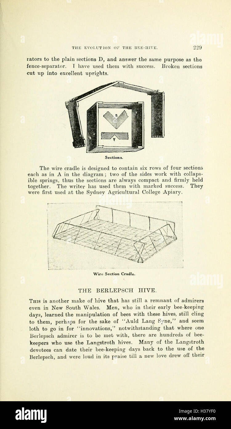 Eine umfassende Untersuchung der Bienenkultur in Australien, einschließlich traditioneller Praktiken und moderner Bienenzuchttechniken. Seite 229 beschäftigt sich mit der Bedeutung der Bienen in der australischen Landwirtschaft und Kultur. Stockfoto