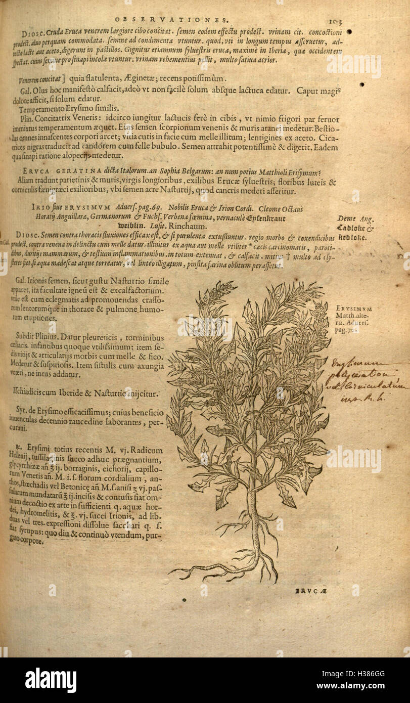 Ein botanisches Werk, das die Geschichte der Pflanzen, ihre Arten und ihre Verwendung detailliert beschreibt. Seite 103 enthält Informationen zu spezifischen Pflanzensorten und ihren Merkmalen. Stockfoto