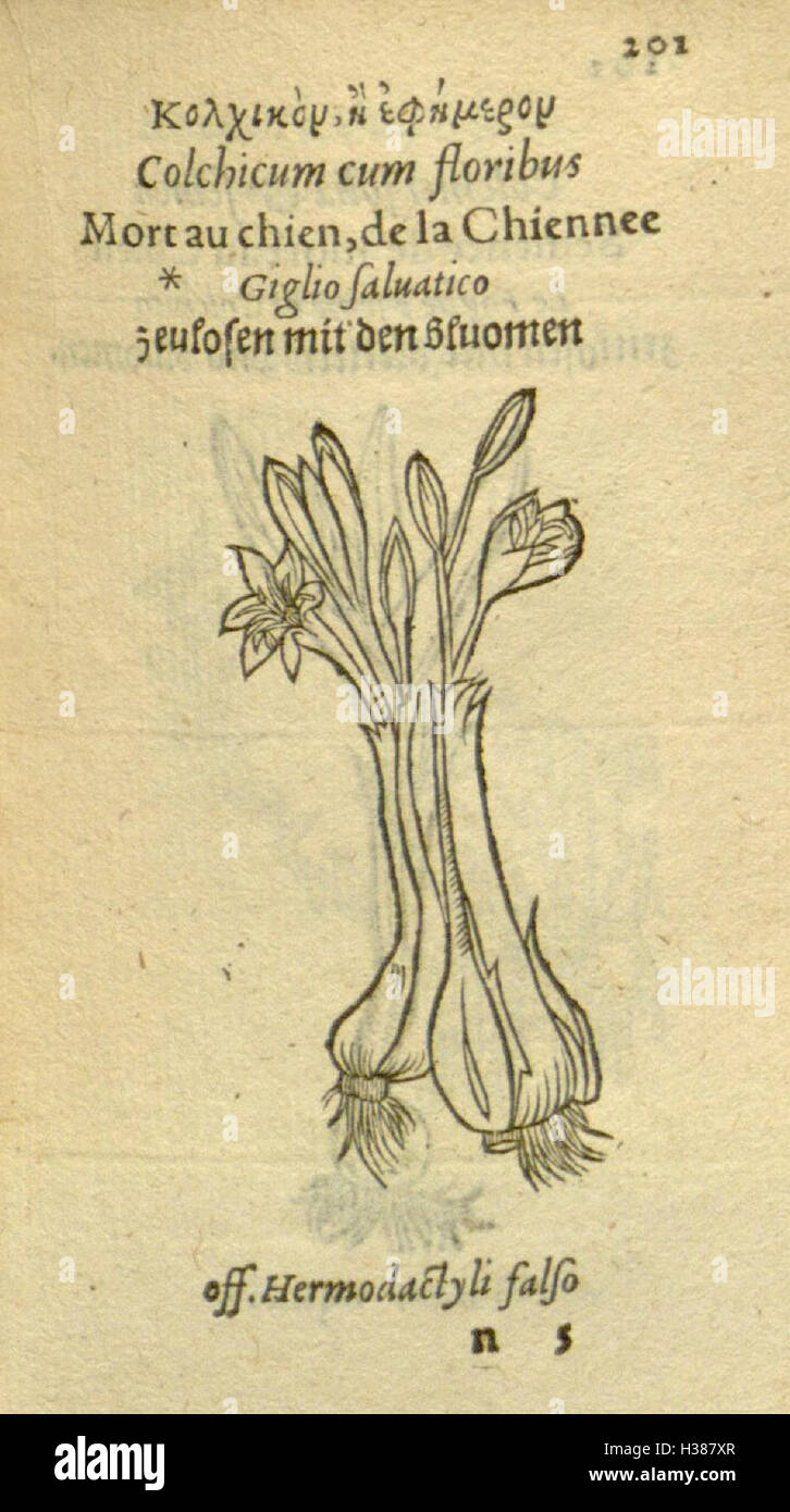 Plantarum Bildnisse (Seite 201) BHL81 Stockfoto