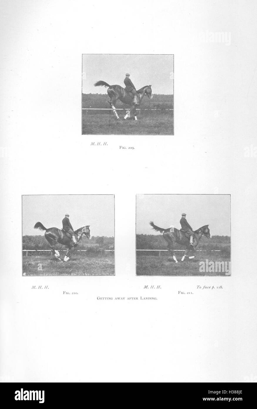 In dieser Publikation werden die wichtigsten materiellen Merkmale und Merkmale des Pferdes beschrieben und die wesentlichen Kenntnisse für die Pflege und Bewertung von Pferden vermittelt. Stockfoto