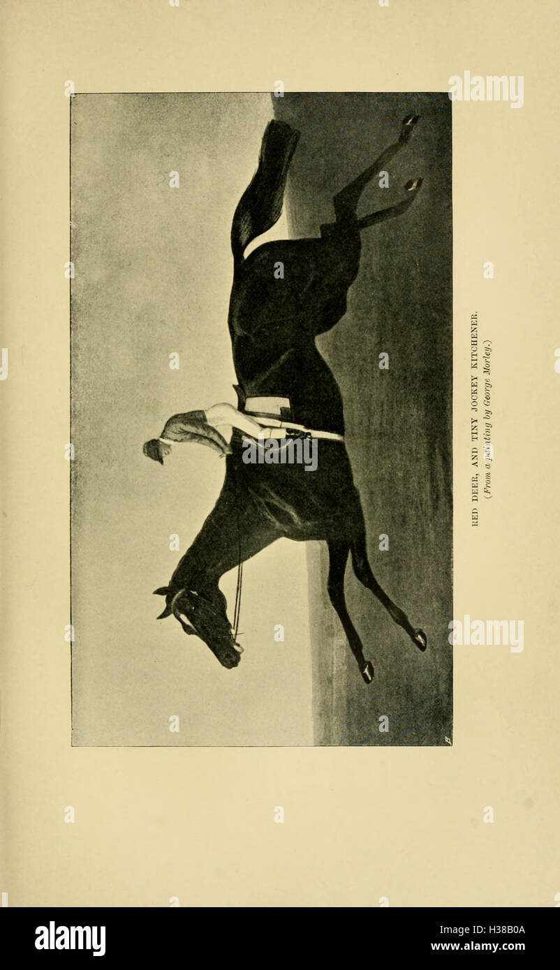 Dieses Werk erzählt die Geschichte von Goodwood und den Dukes of Richmond und behandelt wichtige Ereignisse, Figuren und Traditionen, die mit dem Anwesen und der Familie verbunden sind. Stockfoto