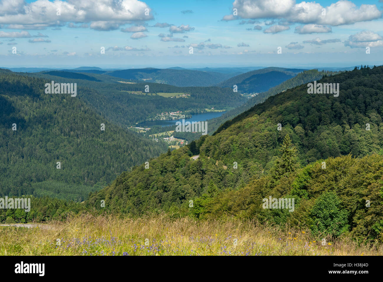 Blick vom in der Nähe von Sommet Hohneck, Les Vosges Sud, Elsass, Frankreich Stockfoto
