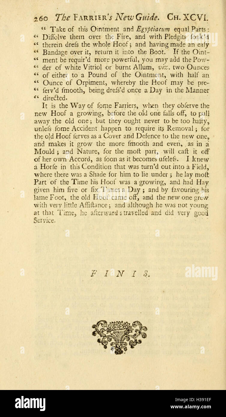 Dieser Leitfaden enthält detaillierte Anweisungen für Huftiere, die wichtige Themen in der Hufpflege, der Schuhtechnik und der allgemeinen Gesundheit der Pferdefüße behandeln. Stockfoto Dieser Leitfaden enthält detaillierte Anweisungen für Huftiere, die wichtige Themen in der Hufpflege, der Schuhtechnik und der allgemeinen Gesundheit der Pferdefüße behandeln. Stockfoto