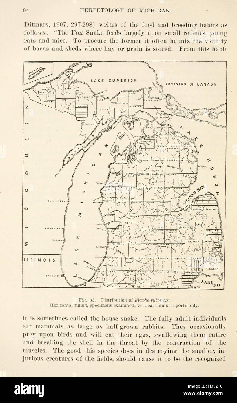 Die Herpetologie von Michigan (Seite 94, Abb. 33) BHL205 Stockfoto