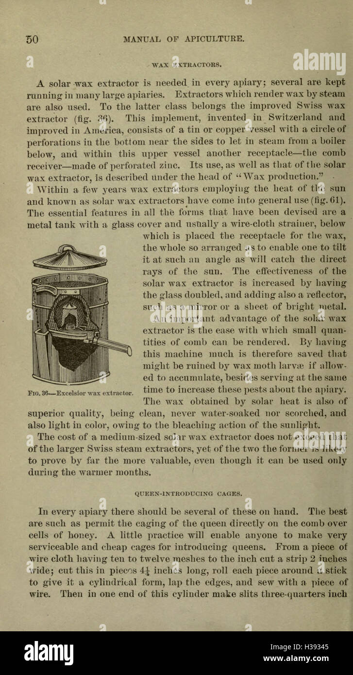 Diese Arbeit bietet eine detaillierte Untersuchung der Honigbiene, ihres Verhaltens, ihrer Ökologie und ihrer Rolle bei der Bestäubung. Sie umfasst die Bewirtschaftung von Bienenstöcken, die Honigproduktion und die Bedeutung der Honigbienen für die Landwirtschaft und die Ökosysteme. Stockfoto