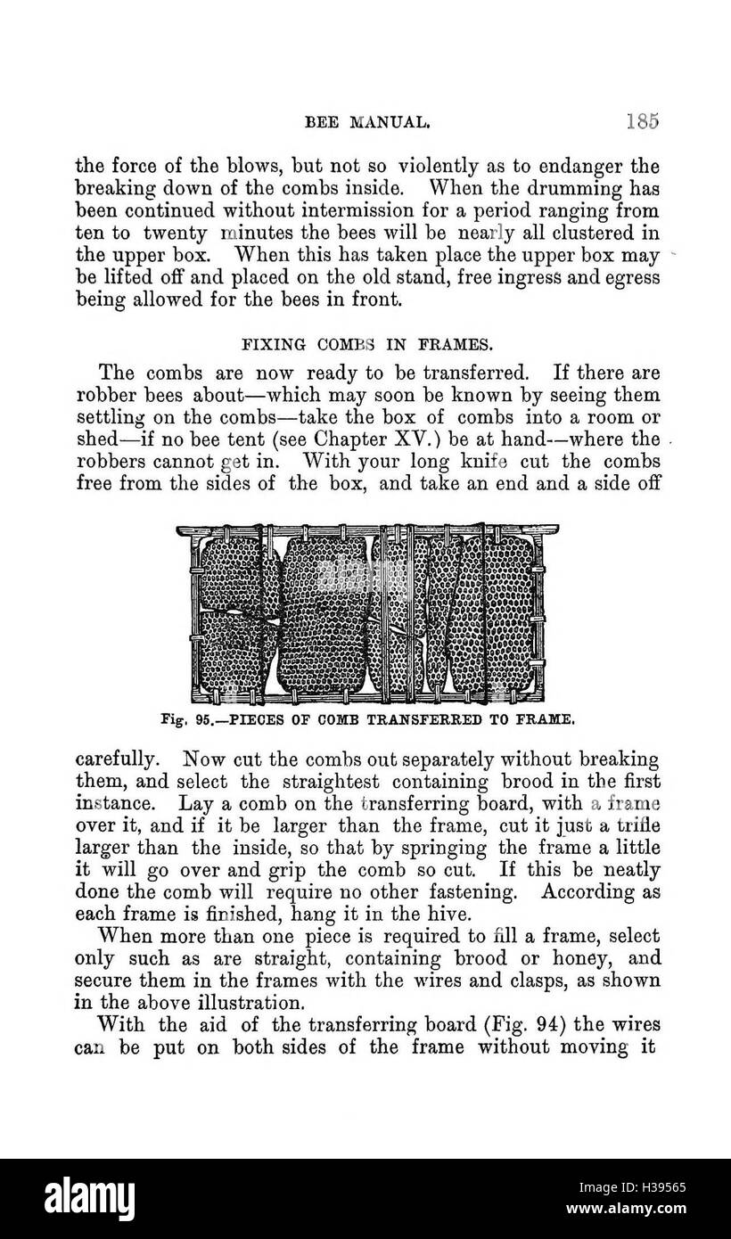 Dieses Handbuch bietet einen umfassenden Leitfaden zur Bienenzucht in der südlichen Hemisphäre und konzentriert sich auf die spezifischen Praktiken und Techniken der Bienenzucht in Australasien. Stockfoto