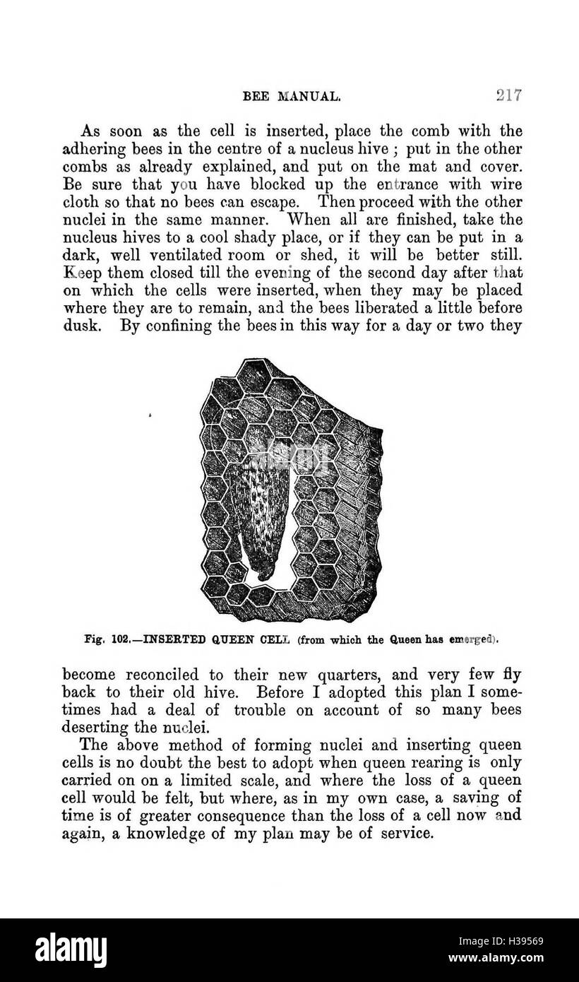 Dieses Handbuch bietet eine ausführliche Anleitung zur Bienenzucht in der südlichen Hemisphäre, wobei der Schwerpunkt auf Bienenzuchttechniken, Bienenbewirtschaftung und Honigproduktion für die Regionen Australasiens liegt. Stockfoto