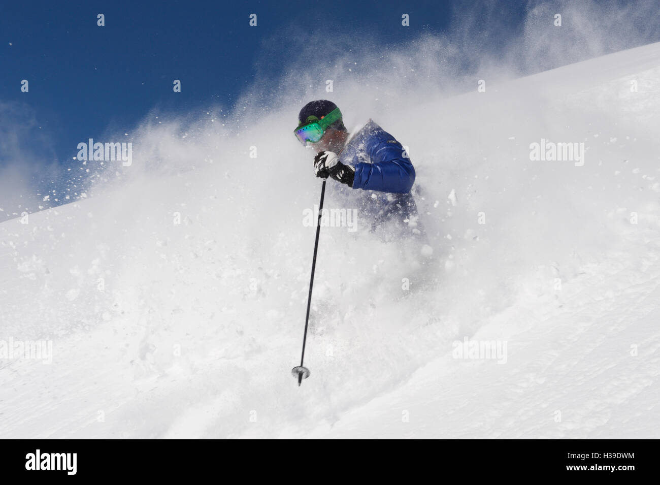 Freeride Ski im Tiefschnee Stockfoto