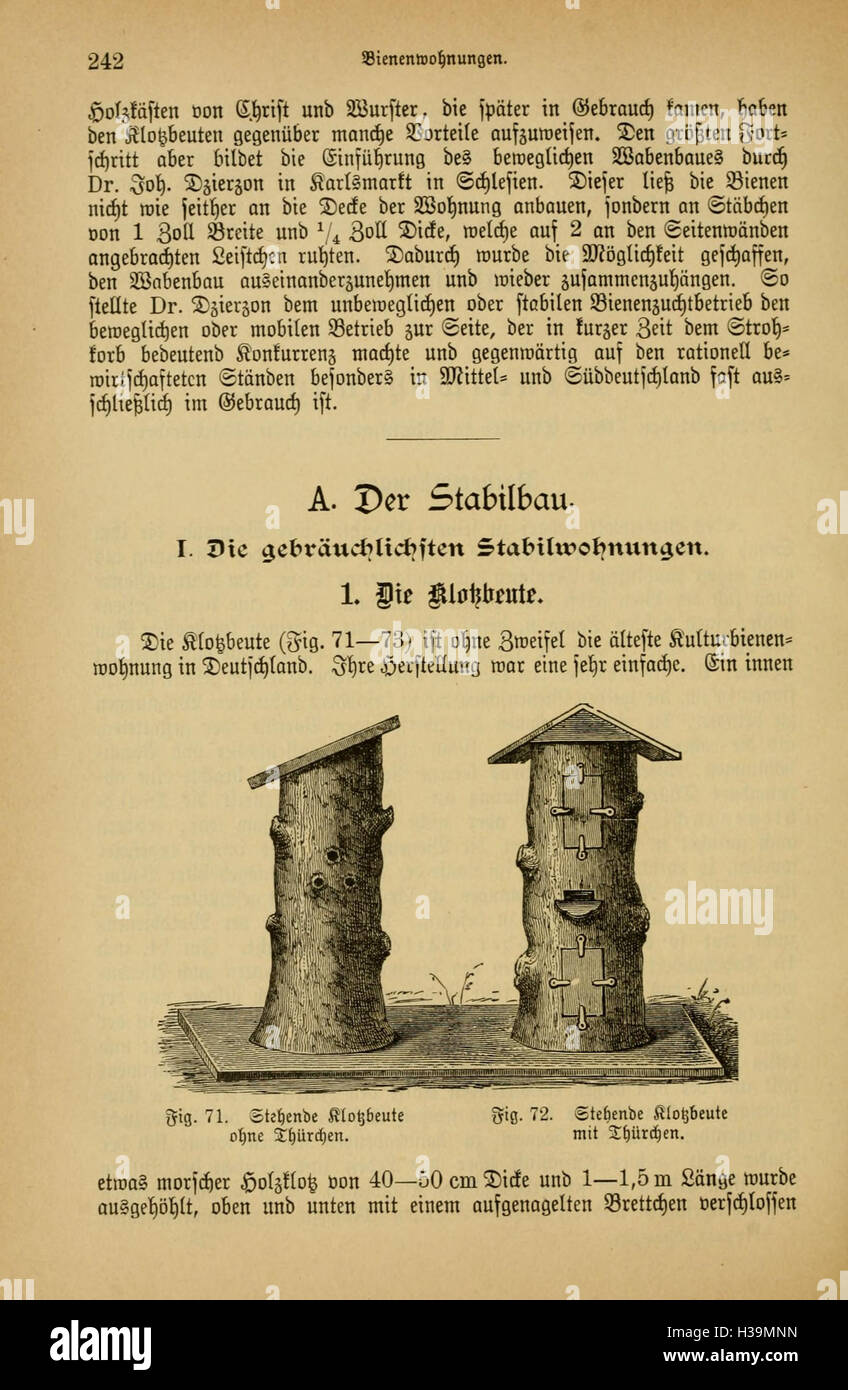 „Das Buch von der Biene“ bietet eine eingehende Untersuchung der Honigbiene, ihrer Anatomie, ihres Verhaltens und ihrer ökologischen Bedeutung. Das Buch behandelt den Lebenszyklus der Bienen, ihre Rolle bei der Bestäubung und ihre Auswirkungen auf Landwirtschaft und Umwelt. Stockfoto