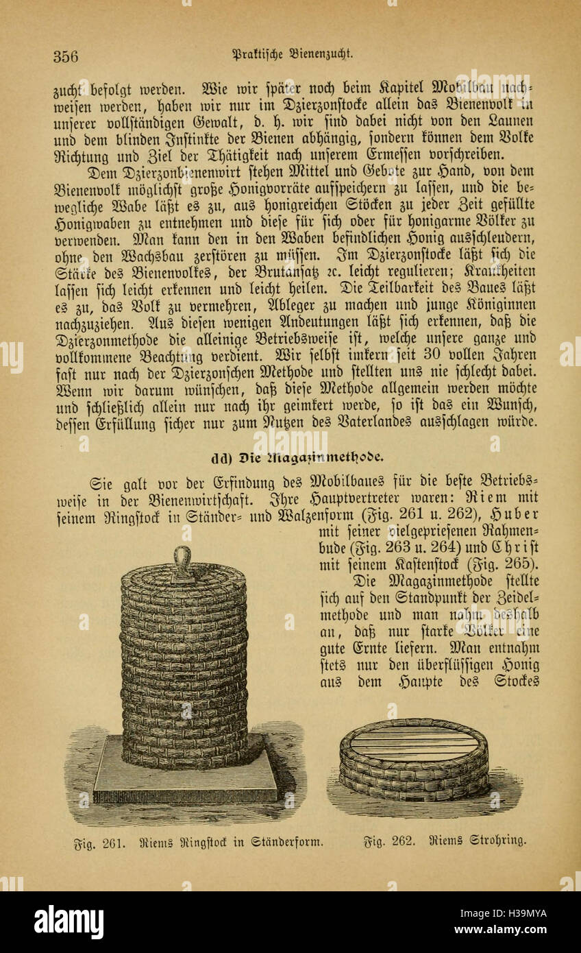Diese Seite von „das Buch von der Biene“ bietet Einblicke in das Leben und die Gewohnheiten der Bienen und zeigt wichtige Fakten über ihre Ökologie und ihr Verhalten. Stockfoto