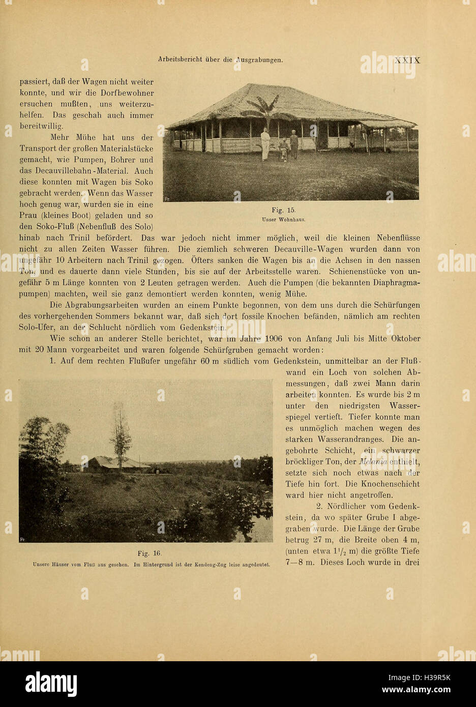 Diese Arbeit untersucht die Schichten des Pithecanthropus (Java man) und bietet Einblicke in die archäologische und paläontologische Bedeutung fossiler Entdeckungen in Java. Stockfoto