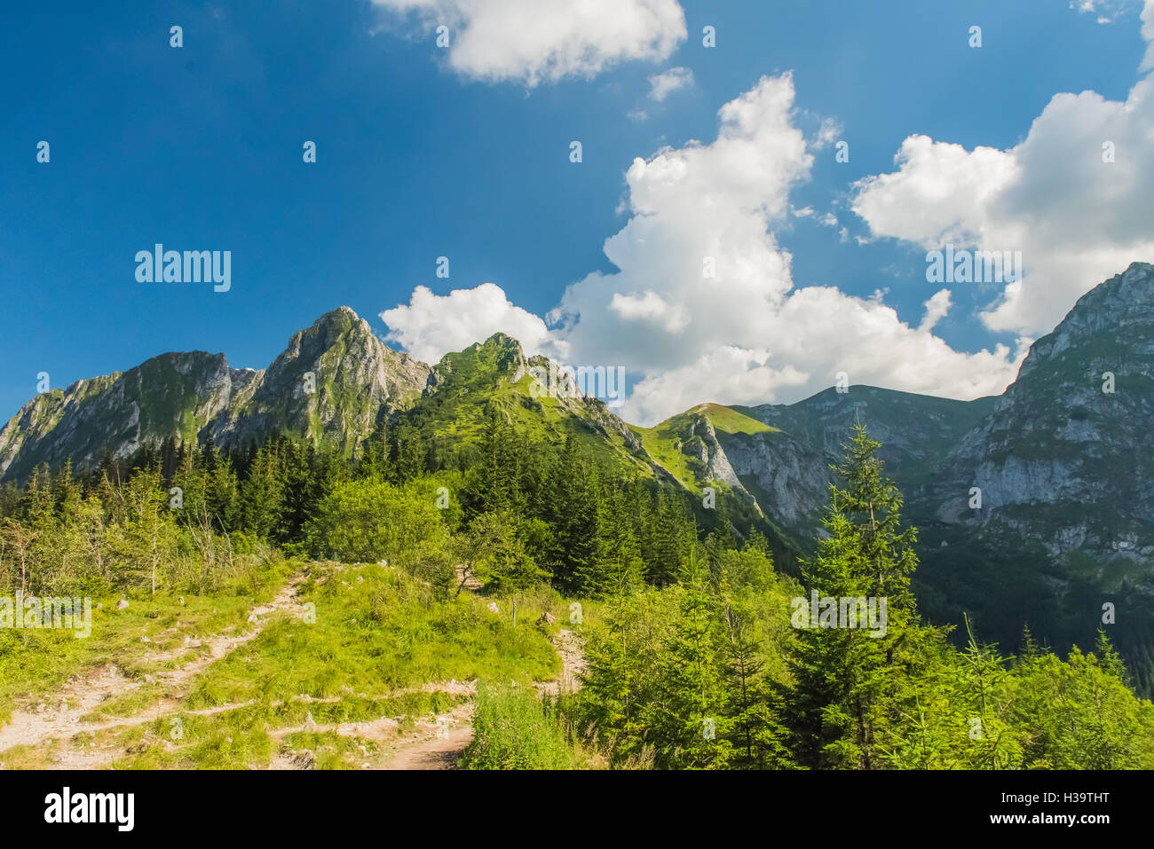 Blick zur hohen Tatra National Park in Zakopane Stockfoto