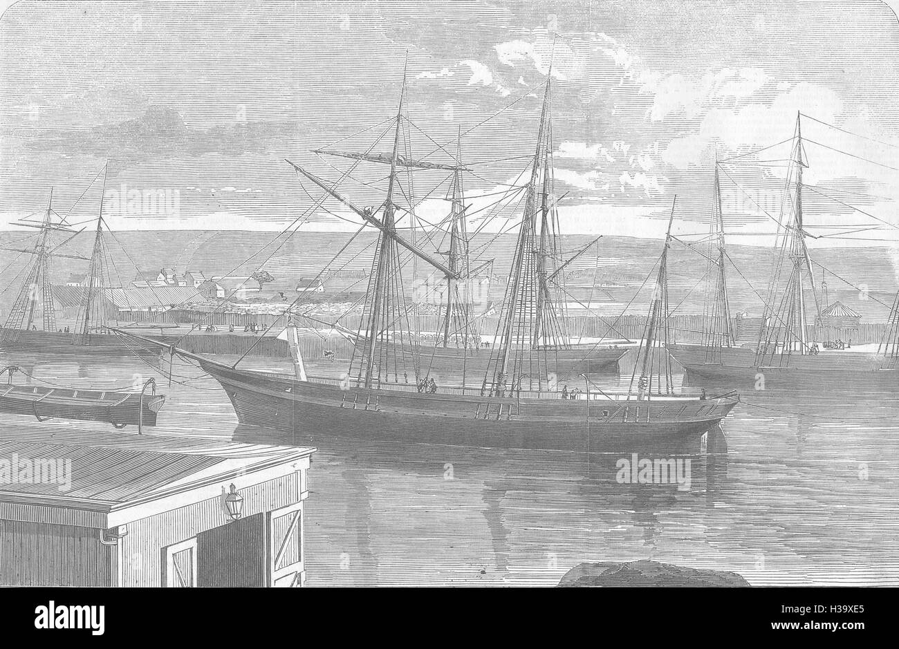 Polarfuchs Schiff geschickt Frankiln 1857 suchen. Illustrierte London News Stockfoto