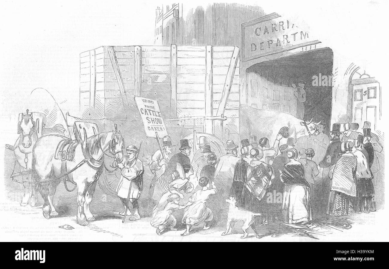 Londoner Smithfield Club Weihnachten Kühe zeigen Preis beim Basar, Baker Street 1844. Der illustrierte London News Stockfoto