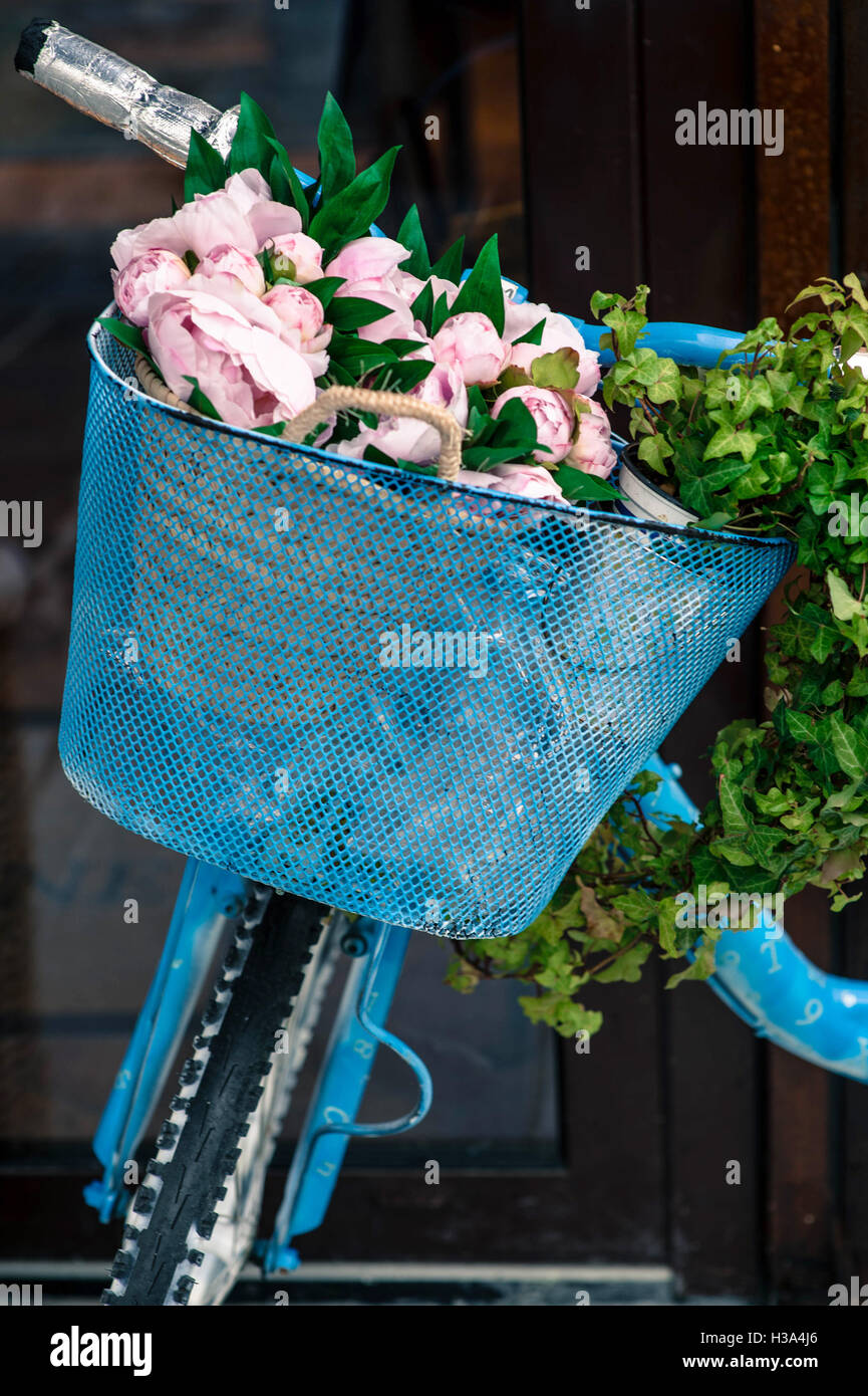 Close Up einer blau lackiert Fahrrad mit rosa Blüten in Shopping Basket Stockfoto
