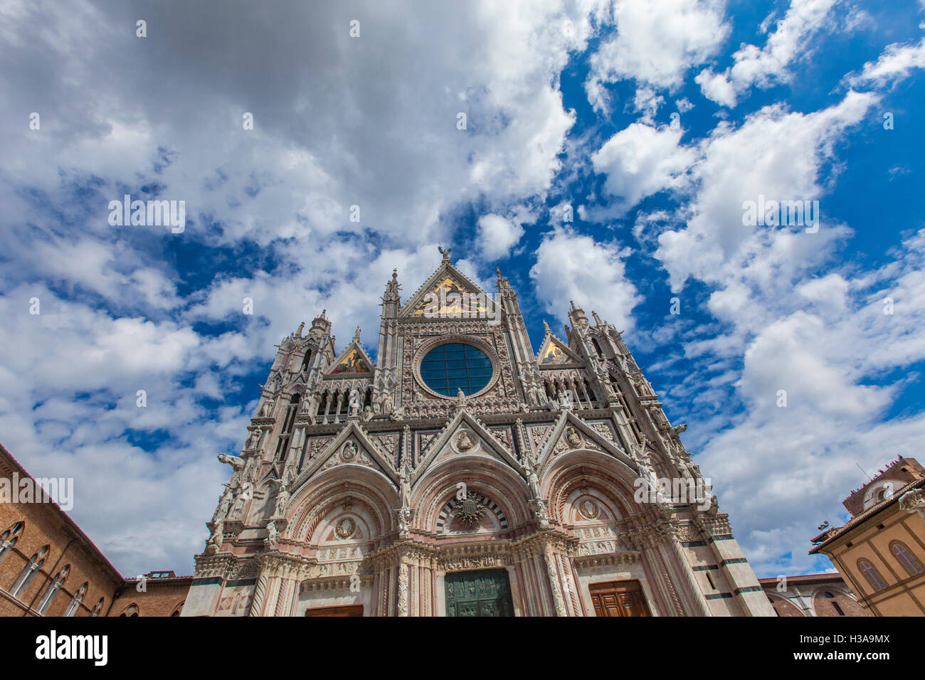 Außenbereich und architektonische Details des Doms, Dom von Siena, Italien Stockfoto