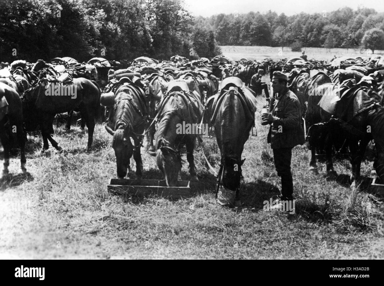 März brechen einer deutschen Kavallerie-Einheit in Frankreich, 1940 Stockfoto