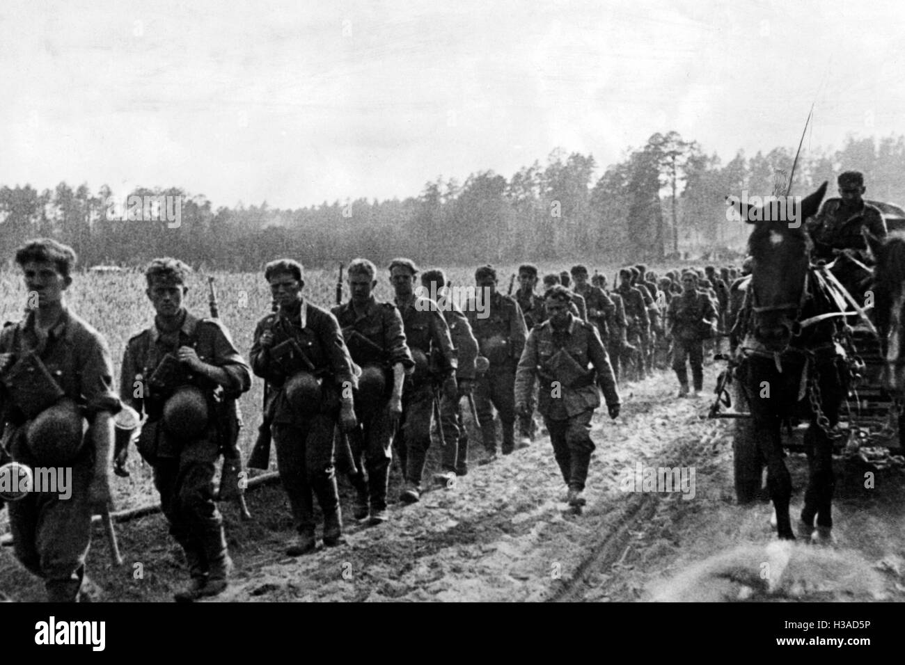Deutsche Infanteristen auf dem Marsch an der Ostfront, 1941 Stockfoto
