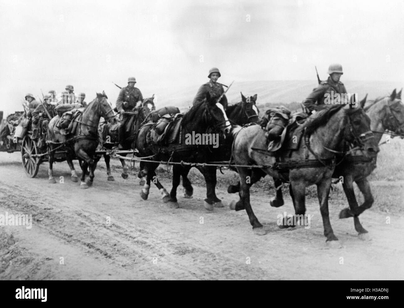 Pferdekutsche Artillerie der Wehrmacht in Bessarabien, 1941 Stockfoto