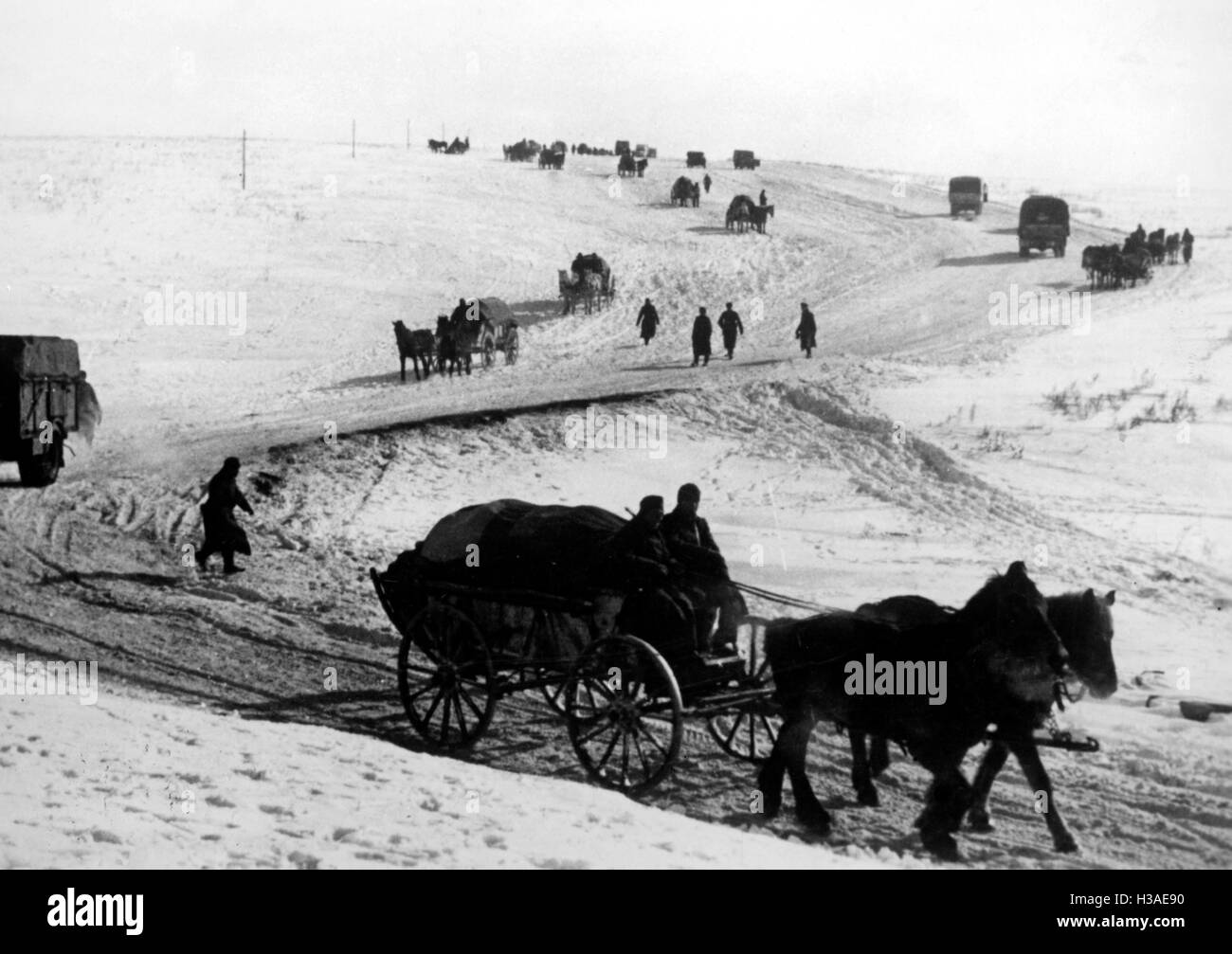 Rückzug der deutschen Truppen aus dem Kaukasus, 1942 Stockfoto