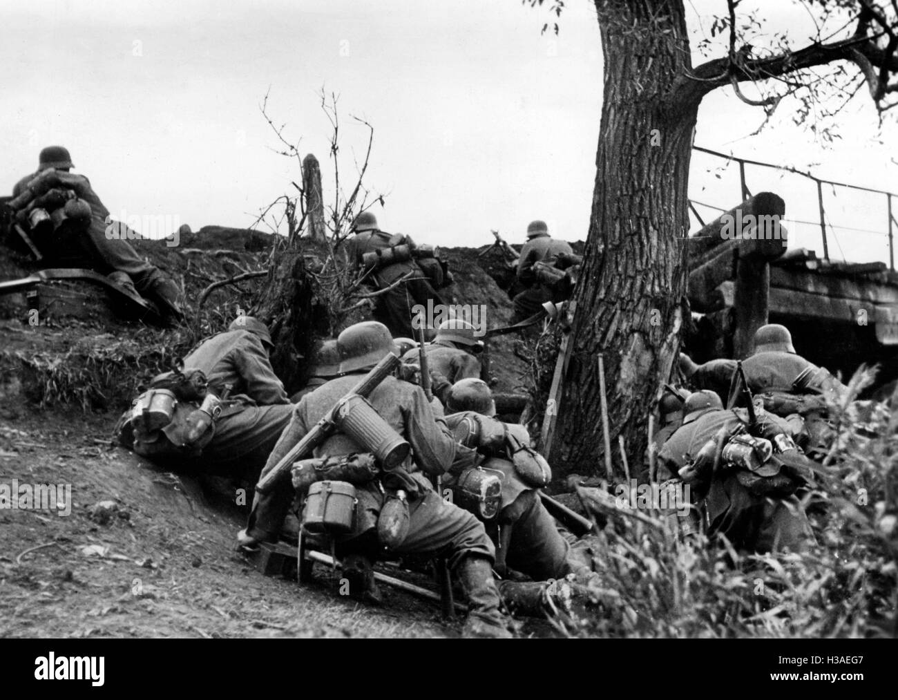 Deutsche Infanteristen kämpfen auf der südlichen Ostfront, Juli 1942 Stockfoto