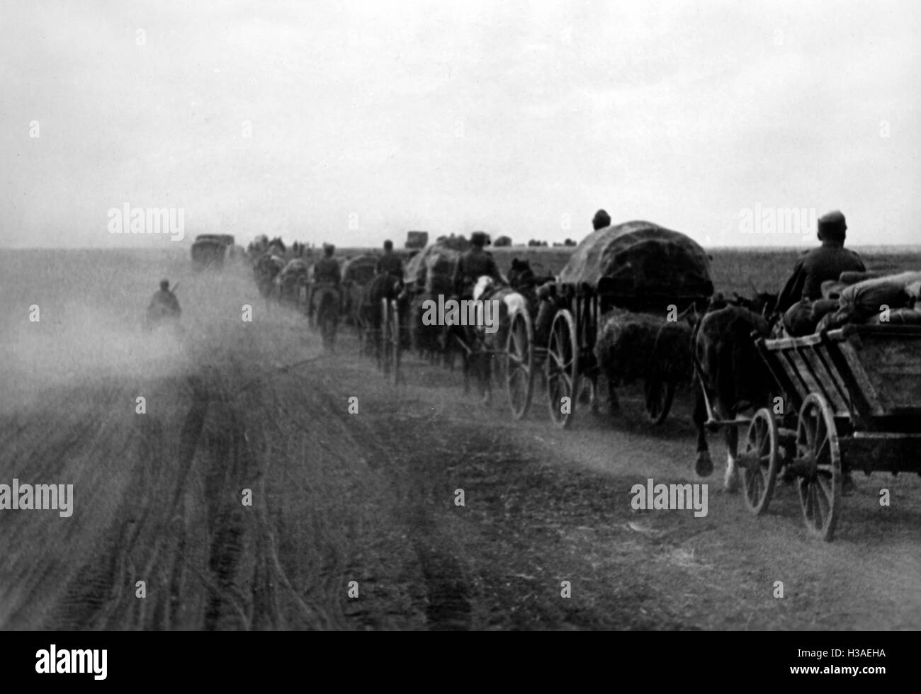 Nachschub-Konvoi an der südlichen Ostfront, Mai 1942 Stockfoto