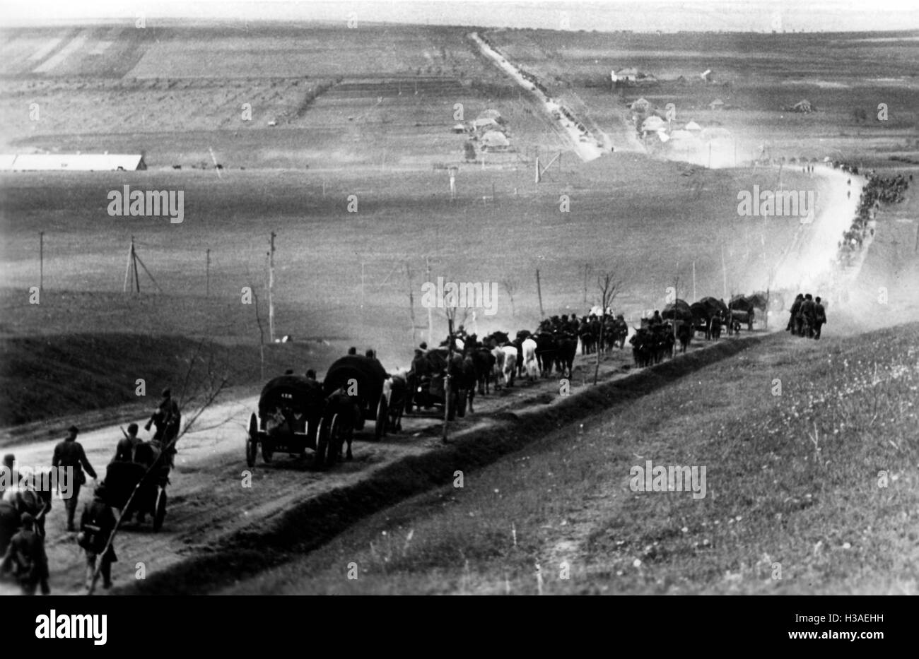 Nachschub-Konvoi auf dem Südabschnitt der Ostfront, im Juni 1942 Stockfoto