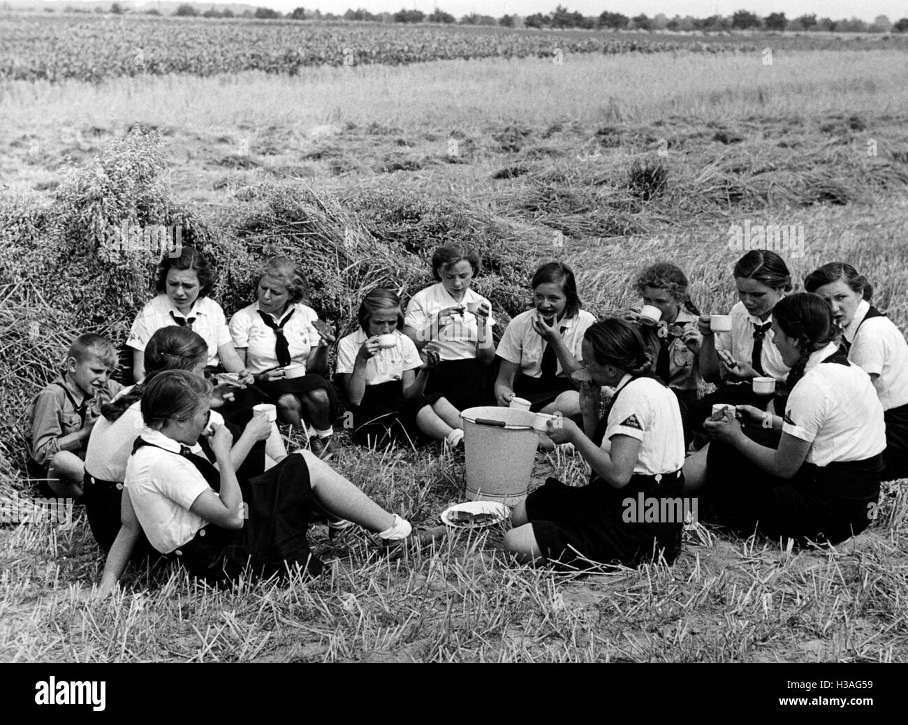 Landdienst Jugend während der Getreideernte, 1939 Stockfoto