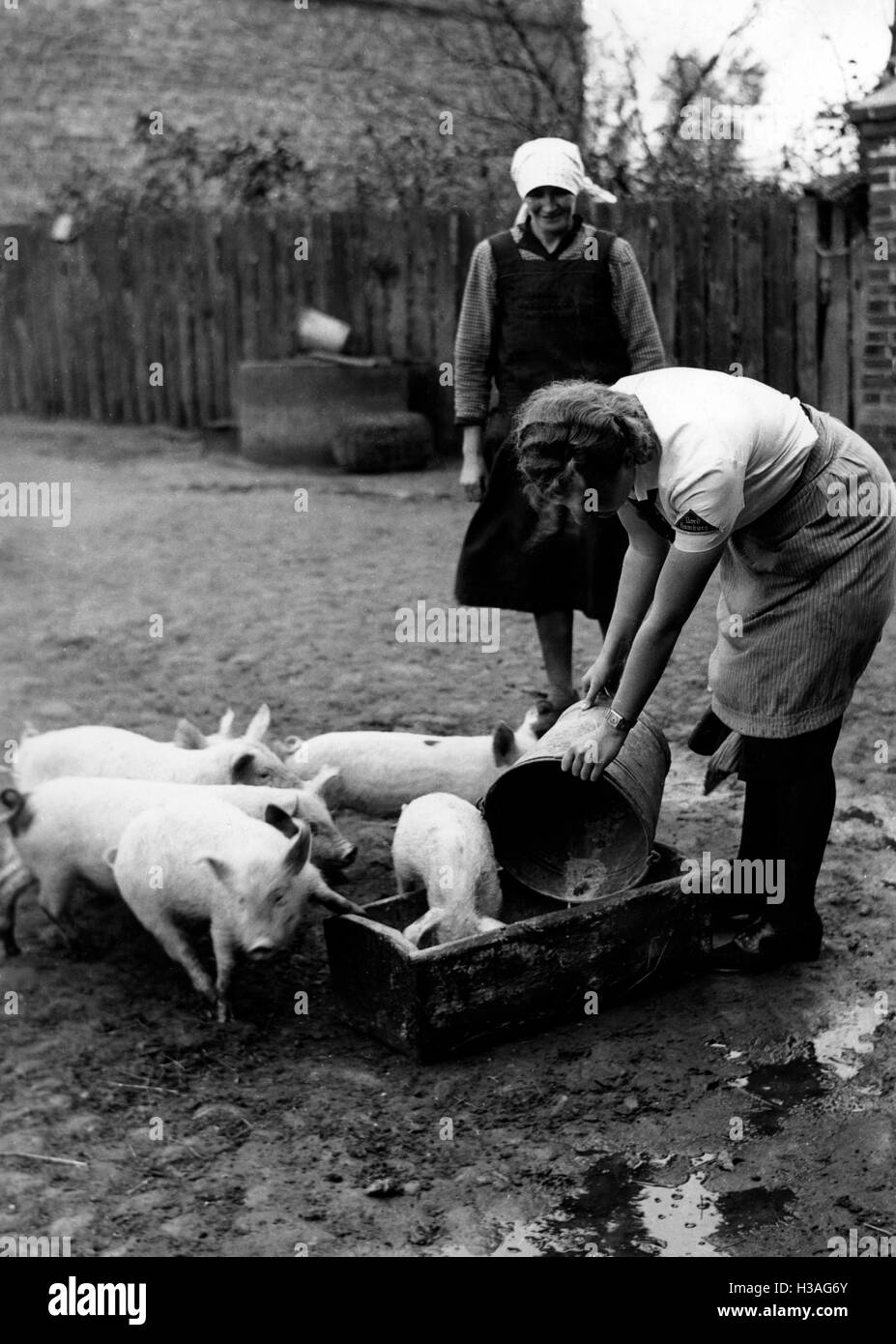 BDM-Mädchen arbeiten in der Halle, 1940 Stockfoto