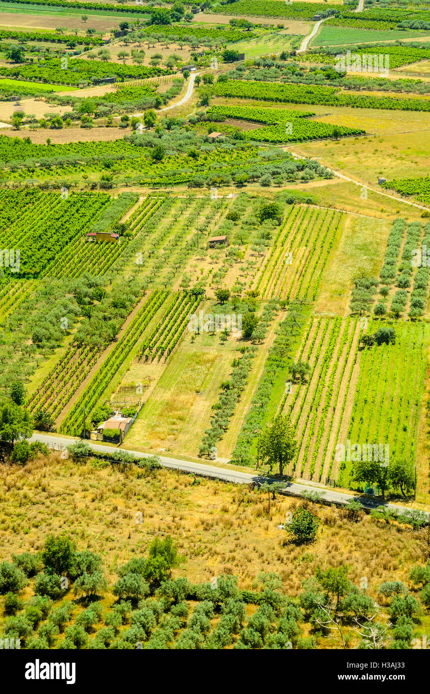 Muster von Feldern und Obstgärten in der Nähe von Mojo Alcantara in der Provinz Messina, Sizilien, Italien Stockfoto