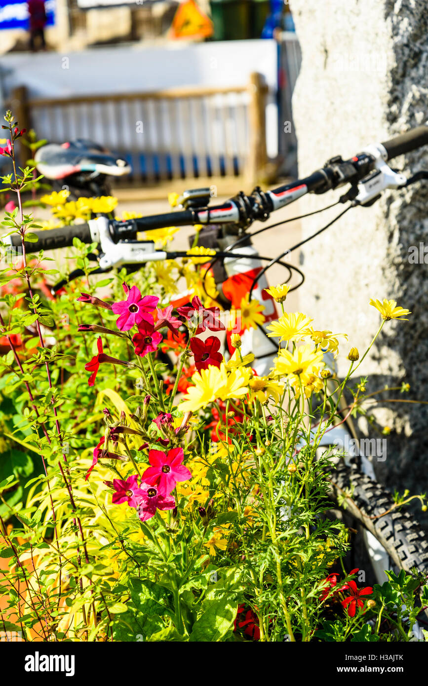 Fahrrad und Blumen in Châtel während Pass'Portes du Soleil MTB 2016 ein Mountain bike Event über die französisch-schweizerischen Grenze Stockfoto