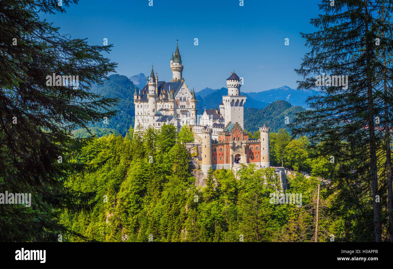 Einzigartige Frontalansicht des berühmten Schloss Neuschwanstein in der Nähe der Stadt Füssen an einem sonnigen Tag im Sommer, Bayern, Deutschland Stockfoto