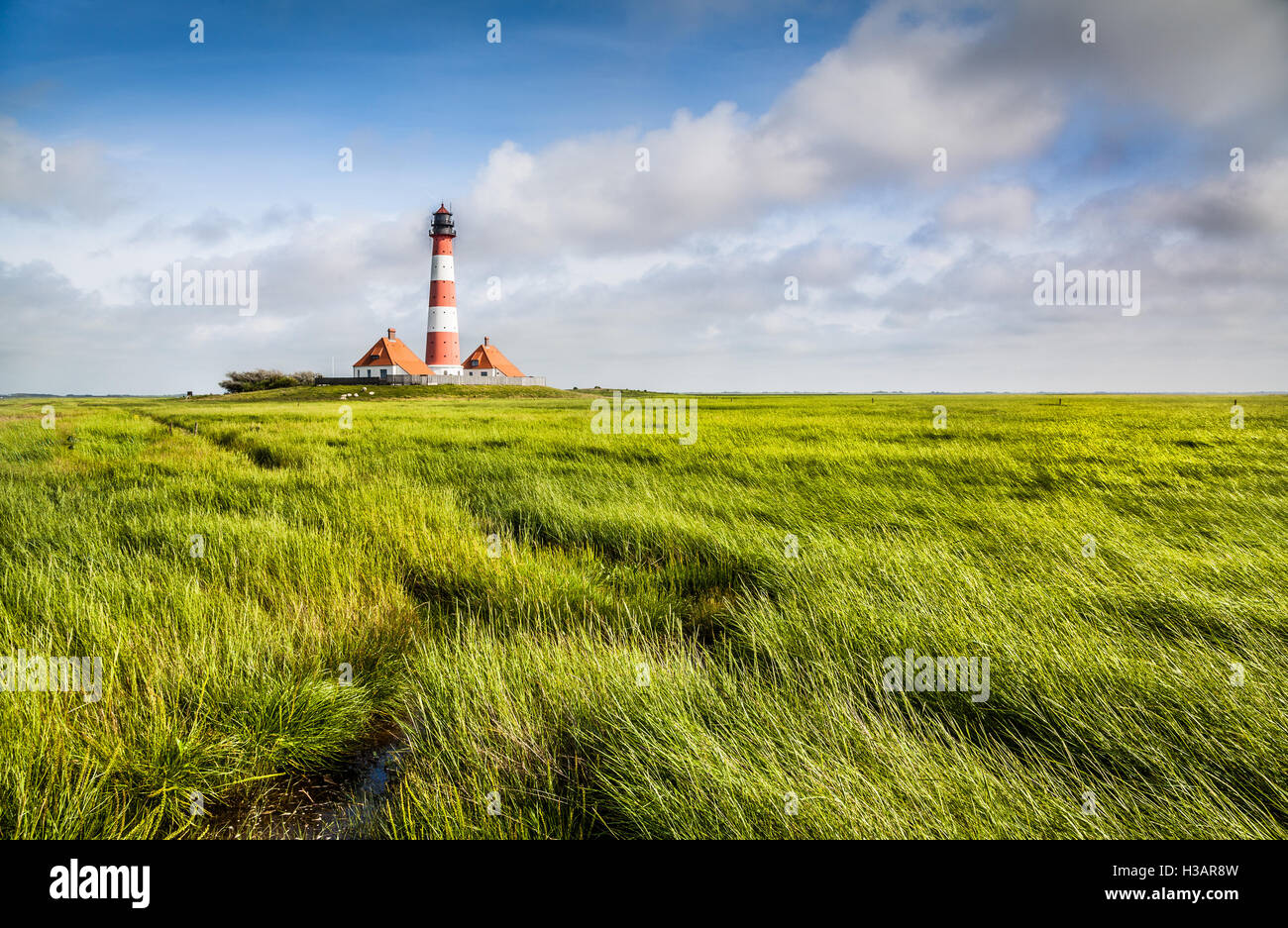 Berühmten Westerheversand Leuchtturm im Hintergrund an der Nordsee in Nordfriesland, Schleswig-Holstein, Deutschland Stockfoto