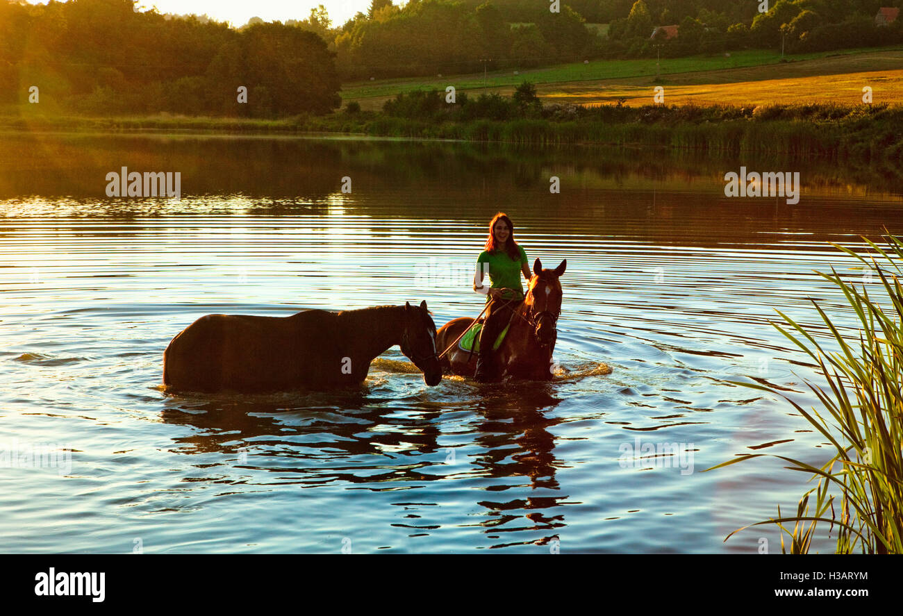 Frau mit zwei Pferden in einem See bei Sonnenuntergang Stockfoto