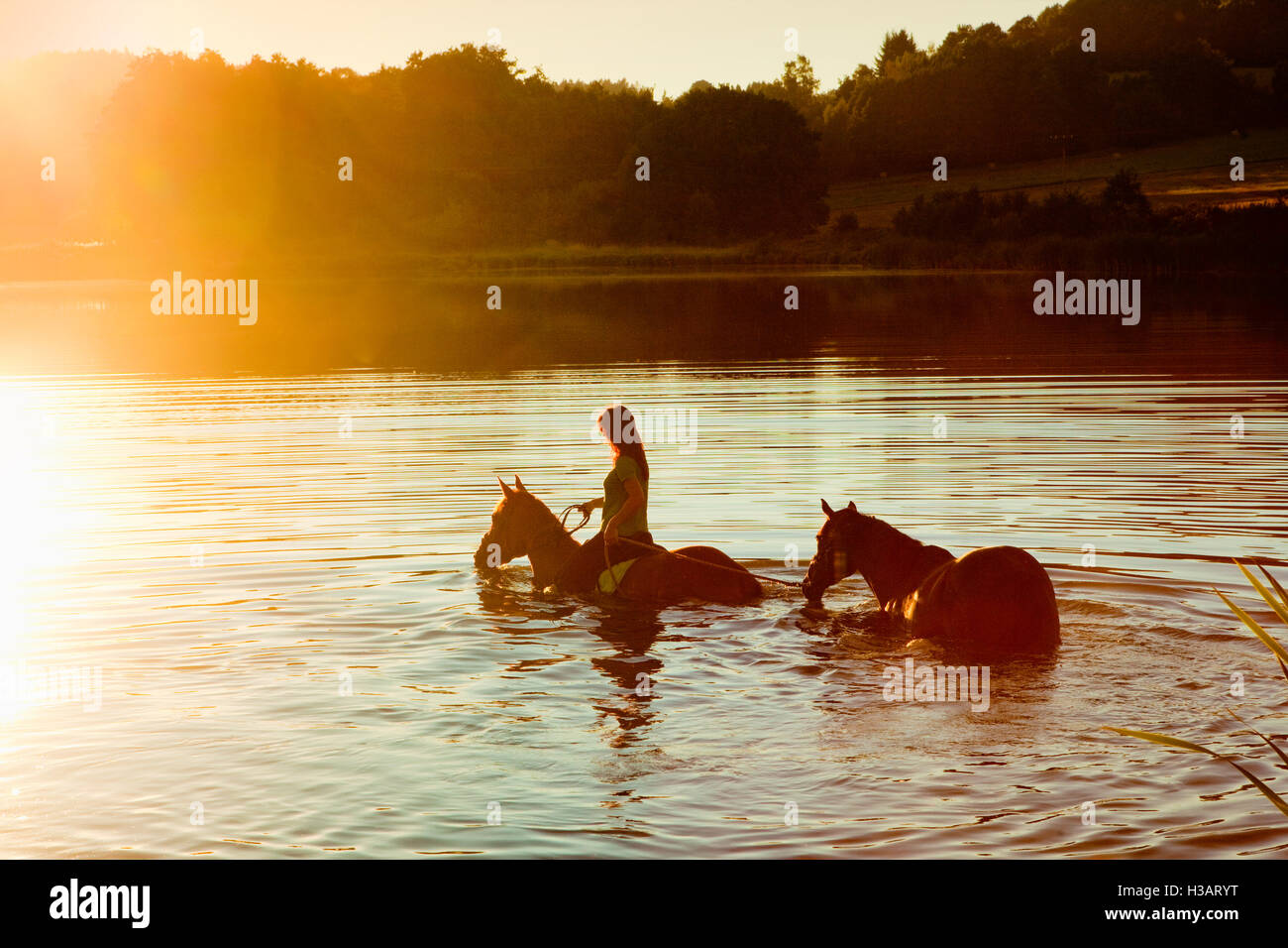 Frau mit zwei Pferden in einem See bei Sonnenuntergang Stockfoto