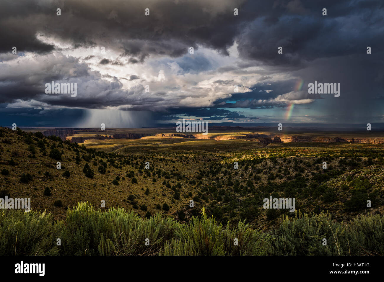 Sommergewitter mit Regenbogen über dem Little Colorado River Valley, Arizona, USA Stockfoto
